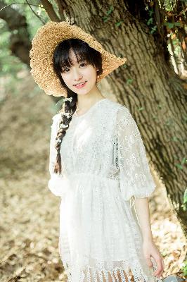 大明王朝1566 电视剧全集免费观看