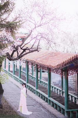 九阳武神动漫在线观看全集